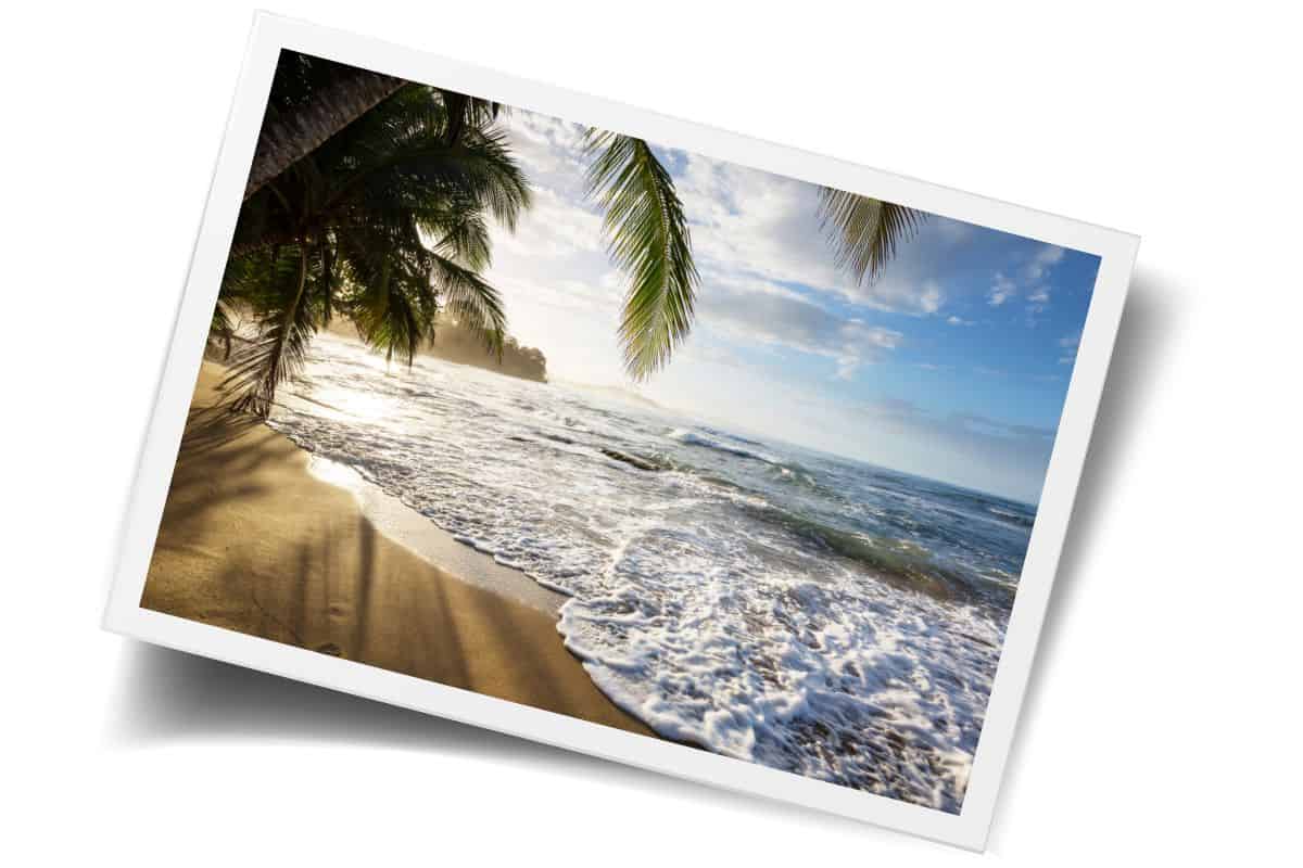 Tropical beach with palm trees and waves at sunrise on Caribbean coast