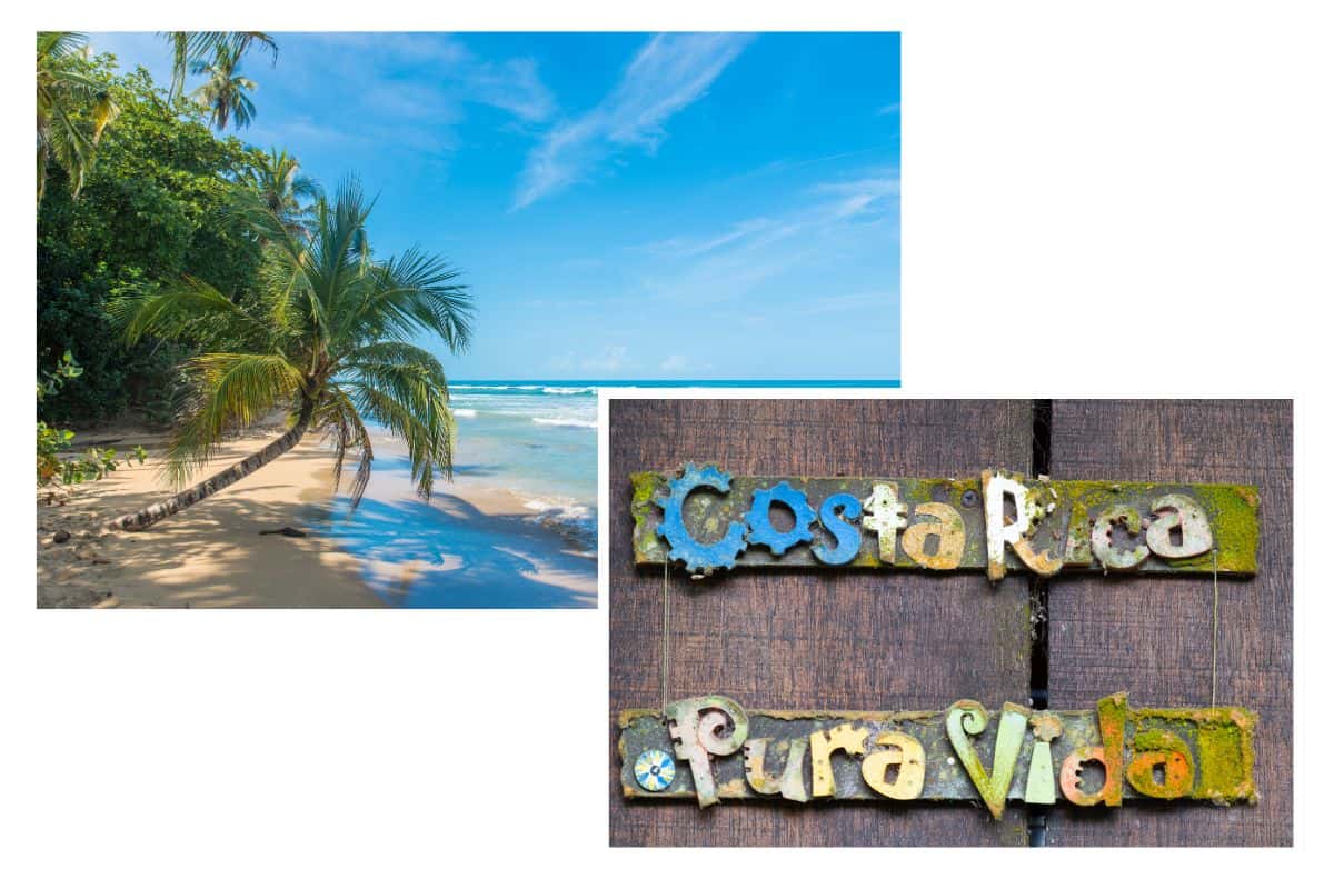 Palm tree leaning over sandy beach with turquoise waves, and weathered 'Costa Rica Pura Vida' sign on wooden wall during the dry season.