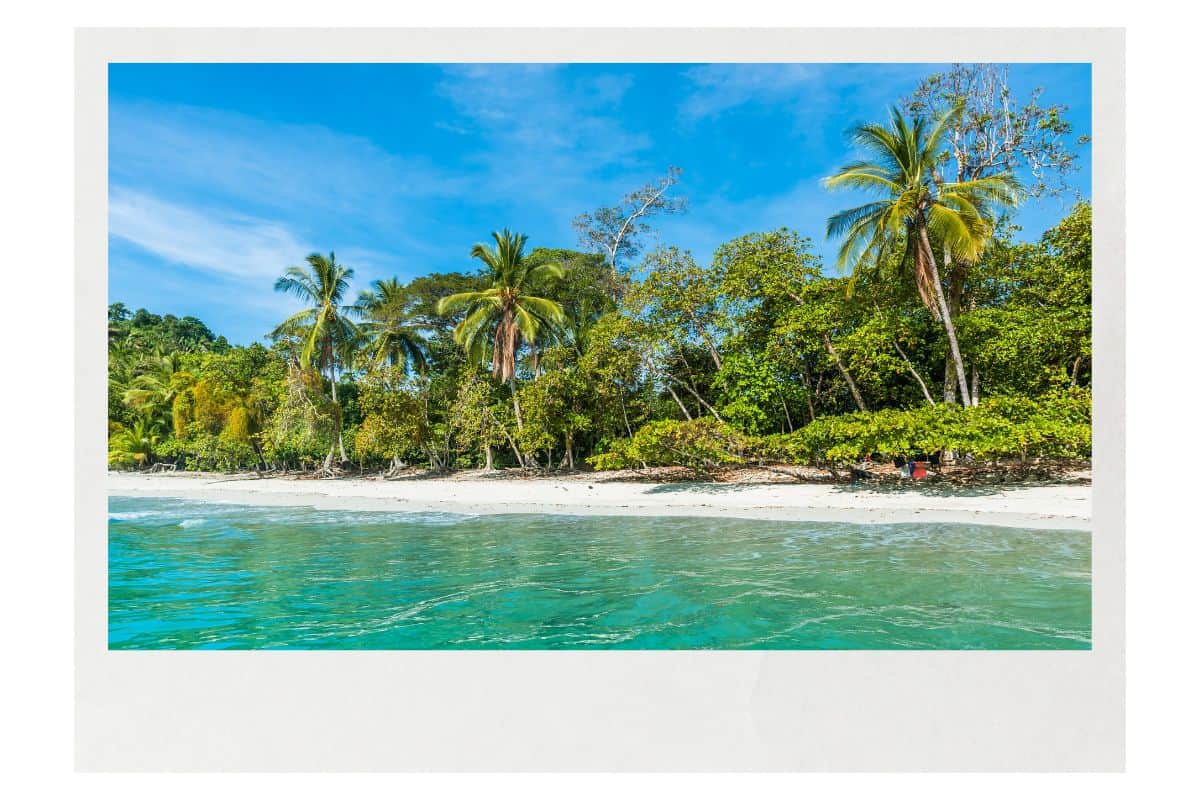 Pristine beach with white sand, turquoise water, and palm trees along the jungle-backed shoreline under clear blue skies during dry season.