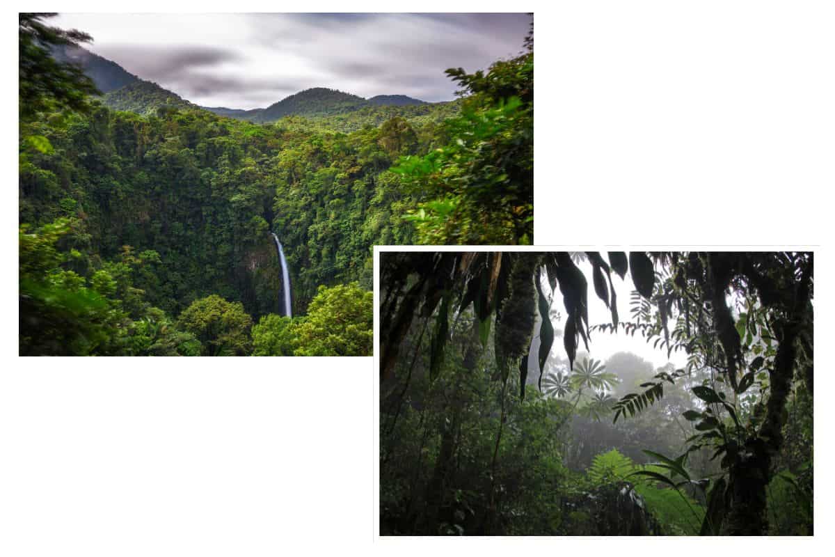 Waterfall plunging into verdant valley surrounded by dense rainforest hills, and misty jungle interior view during rainy season in Costa Rica.