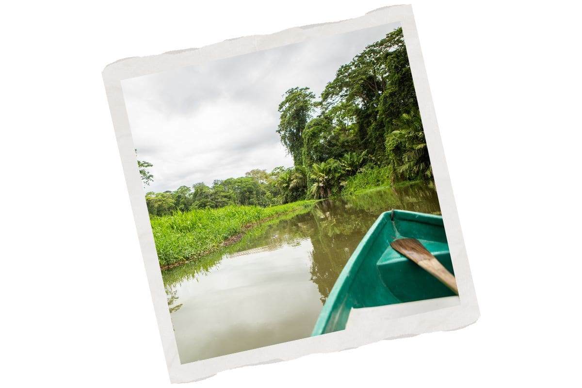 Green boat on calm river winding through lush rainforest with overcast skies in Costa Rica rainy season.
