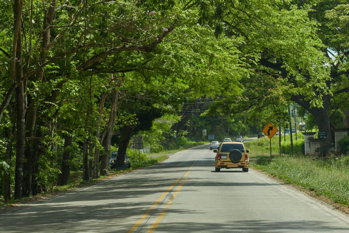 Two-lane highway lined with lush green trees forming canopy overhead, with vehicles driving through tropical countryside in Costa Rica