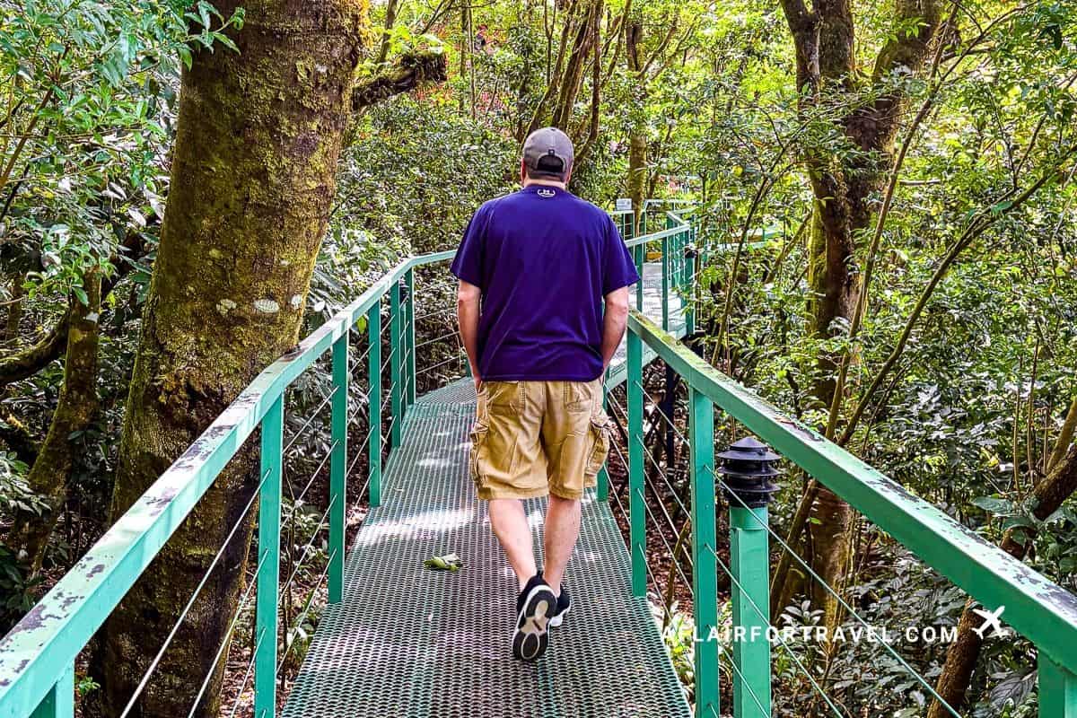 Man walking on elevated green metal walkway through moss-covered cloud forest trees in Costa Rica