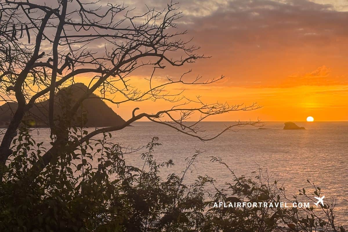 Dramatic golden sunset over Caribbean Sea with silhouetted trees framing coastal rocks viewed from Cap Maison ground
