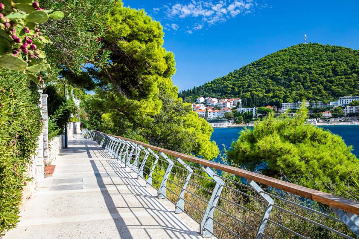 Scenic waterfront promenade lined with pine trees overlooking Lapad Bay, popular accommodation area with coastal views and forested hills; this is where to stay in Dubrovnik for a quieter experience.