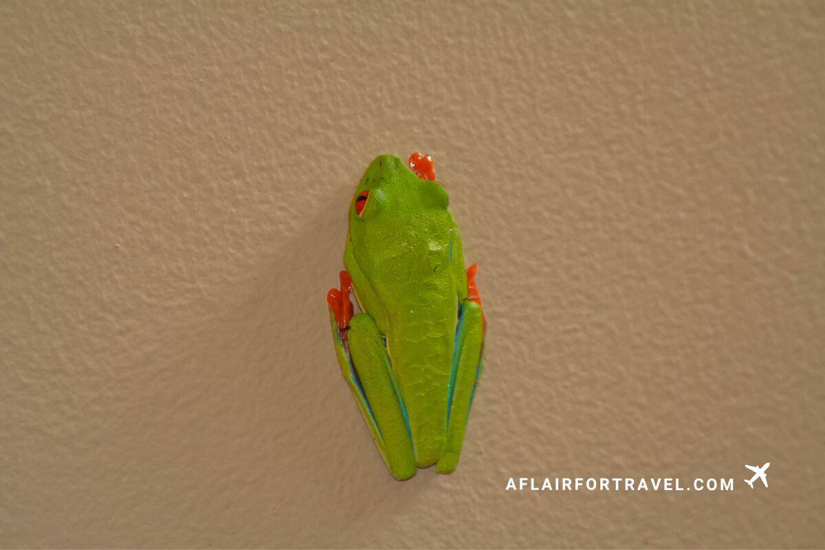 Bright green tree frog on a wall in Costa Rica, a common Costa Rica mistake is thinking you won't find wildlife in hotel rooms.