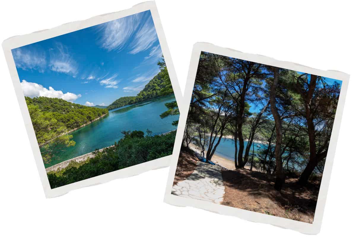 Collage of Mljet Island's stunning saltwater lakes and pine-shaded coastal paths in Mljet National Park
