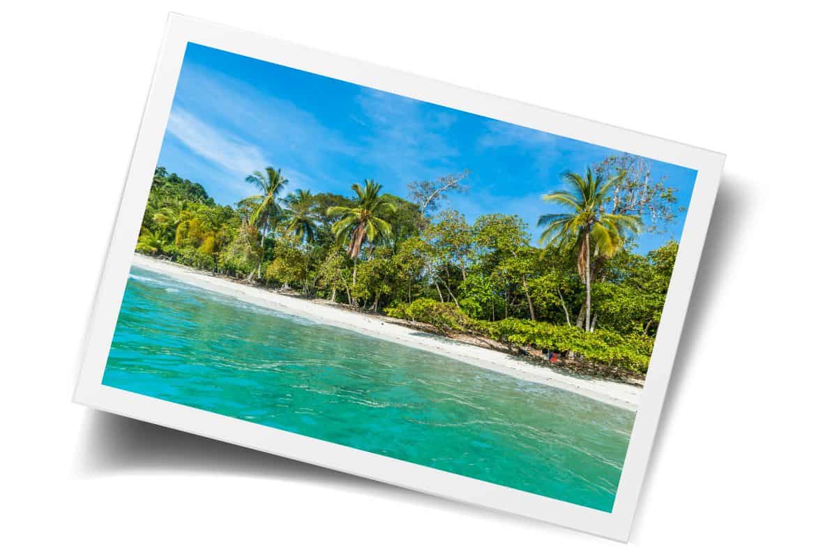 Turquoise water laps against a palm-lined white sand beach near Costa Rica's Manuel Antonio National Park