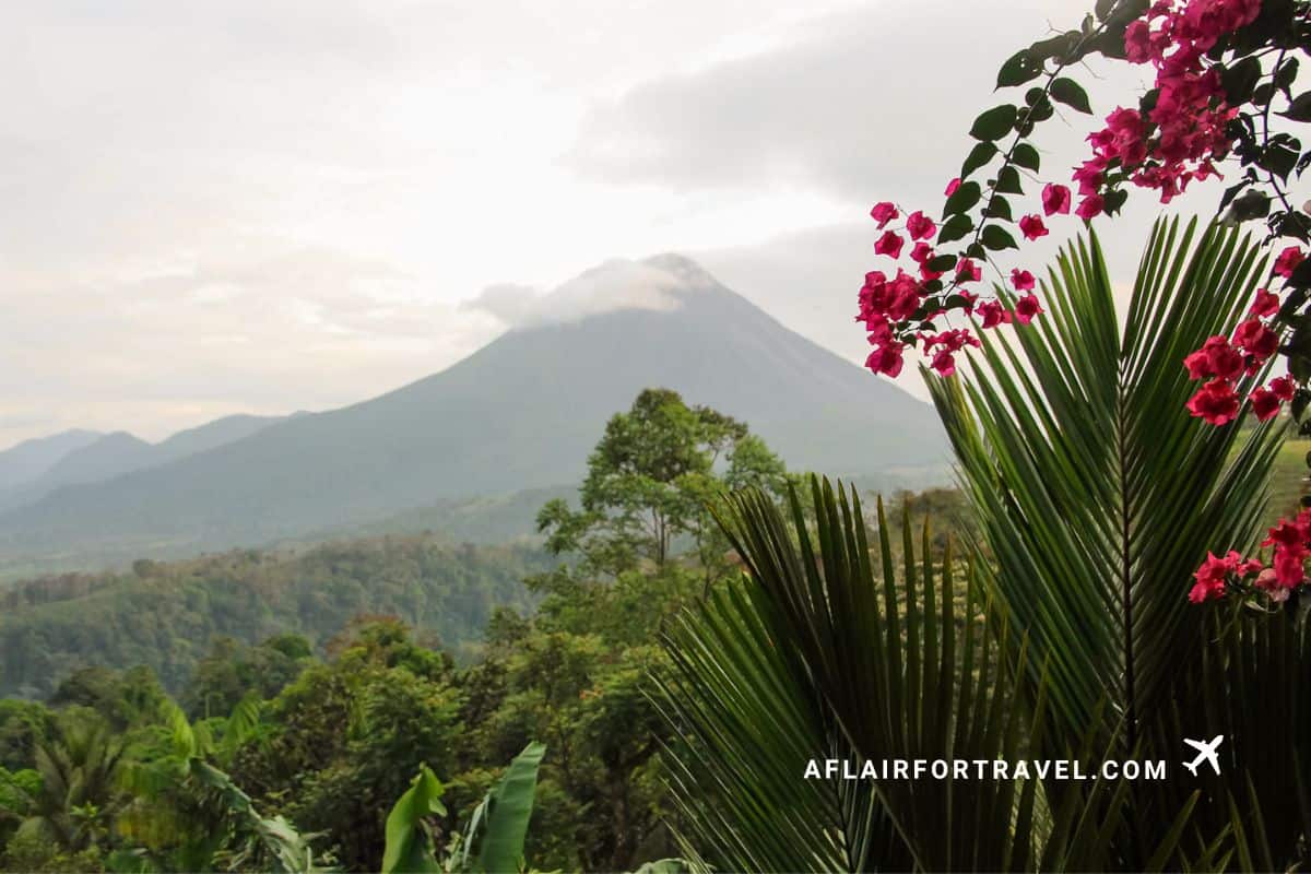 Arenal Volcano rising above the jungle, framed by tropical bougainvillea flowers
