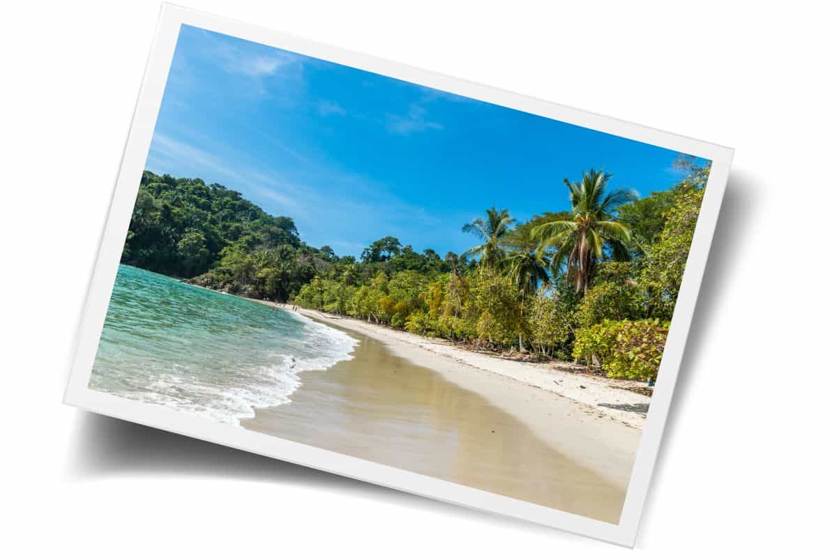 Beautiful tropical beach in Manuel Antonio with calm turquoise water, palm trees, and a sandy shoreline, the perfect stop on a Costa Rica family itinerary