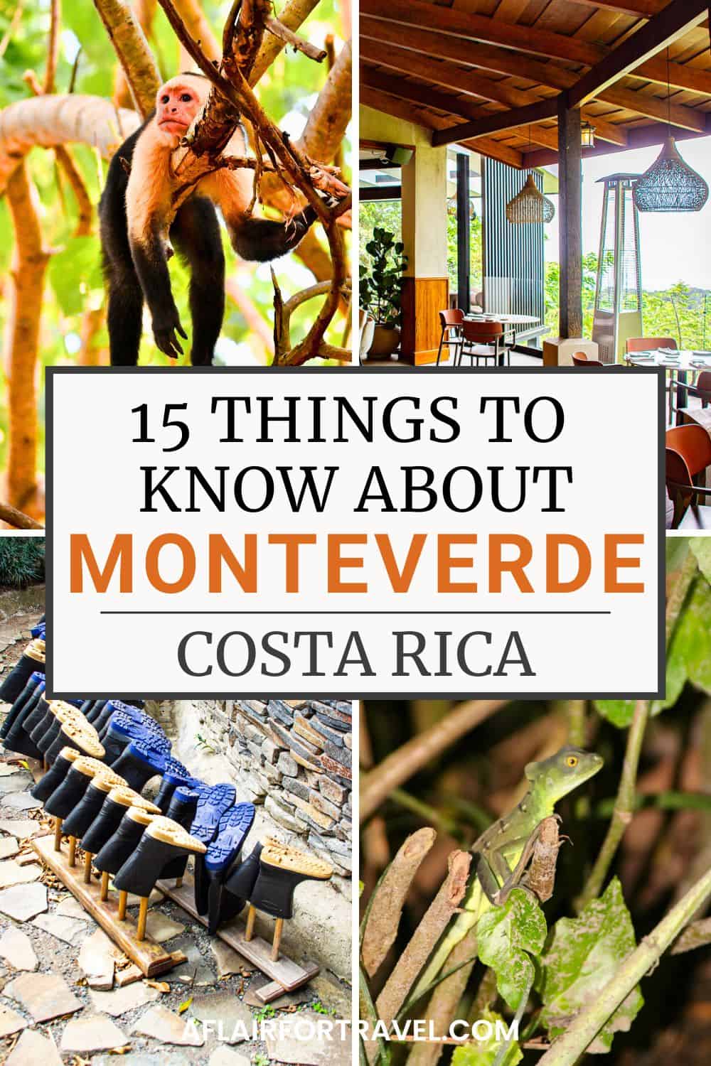 Here's an alt text description for this image: Short version (recommended): "Collage of four photos promoting 15 Things to Know About Monteverde, Costa Rica, featuring a white-faced capuchin monkey in a tree, an open-air restaurant with jungle views, rubber boots lined up on a rack, and a green lizard on a plant.