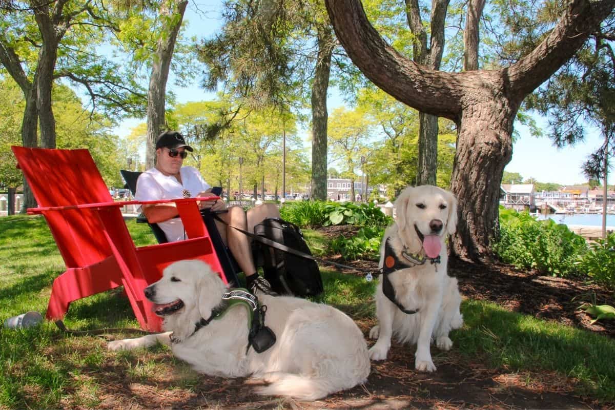 Man relaxing in a red Adirondack chair with two golden retrievers at a dog-friendly Newburyport MA park