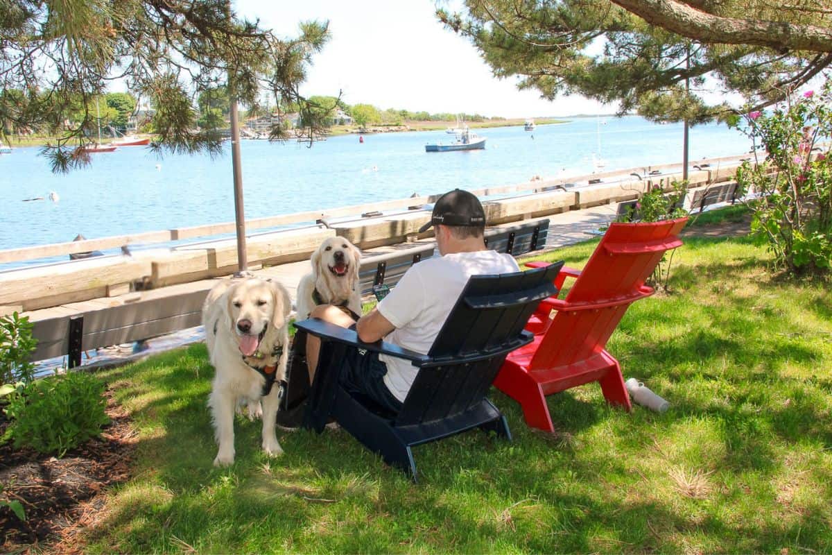 Man and two golden retrievers enjoying Adirondack chairs by the water in Newburyport