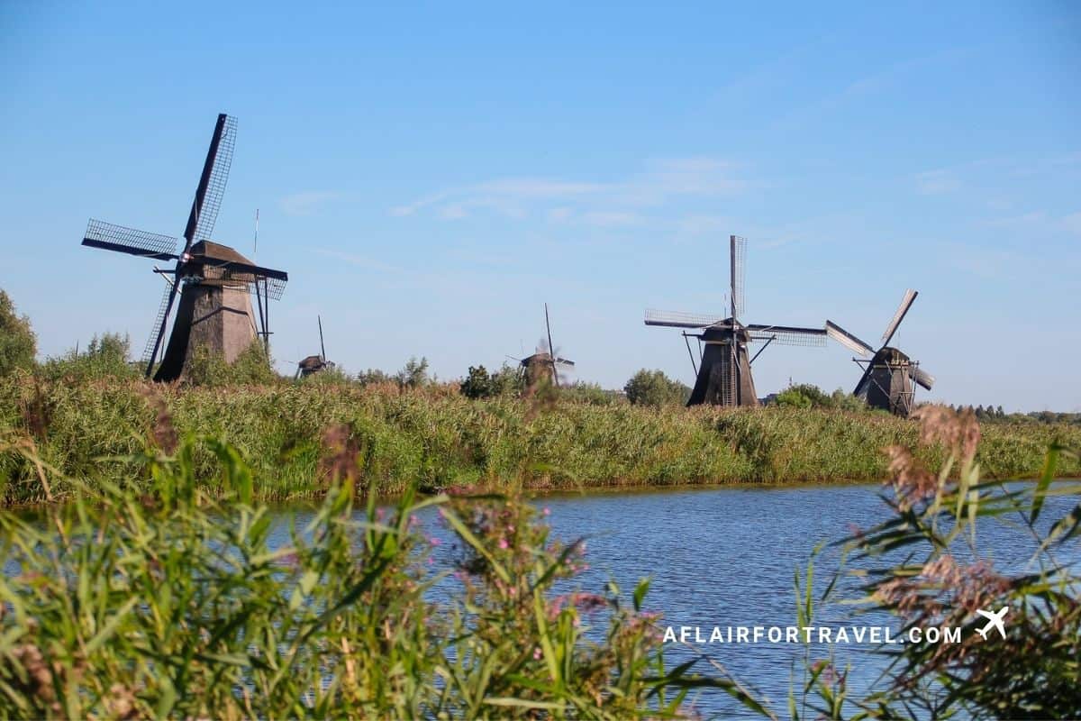 Historic windmills standing along the water at Kinderdijk, a UNESCO site in the Netherlands