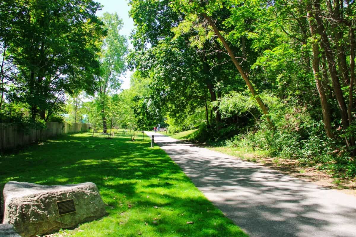 Shaded path through greenery along the Clipper City Rail Trail in Newburyport