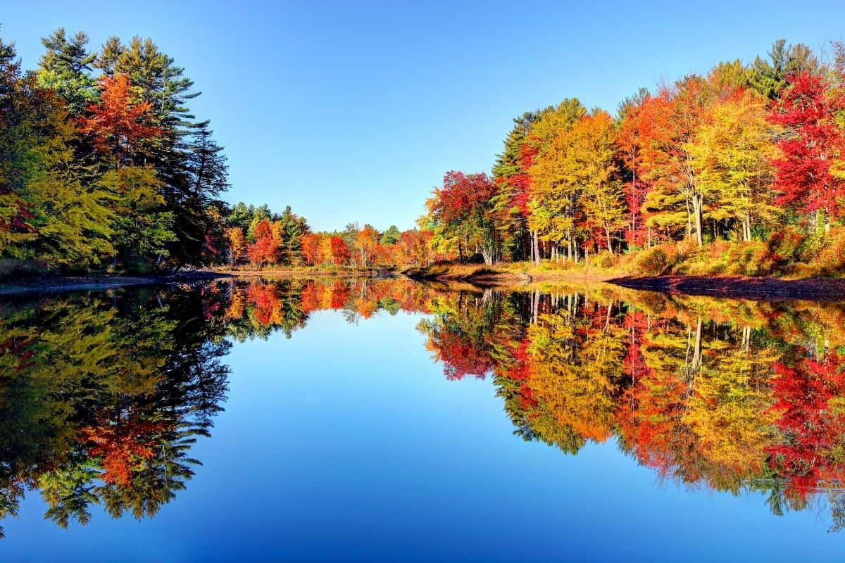 Perfectly still lake near Mt. Monadnock mirroring fall foliage along both shorelines under a clear sky