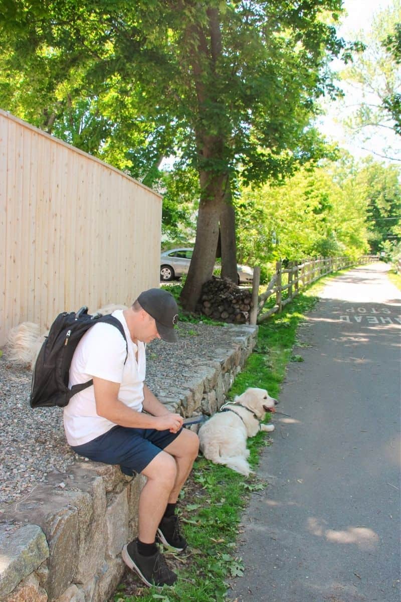 Man resting on a stone wall with his golden retriever along a quiet road