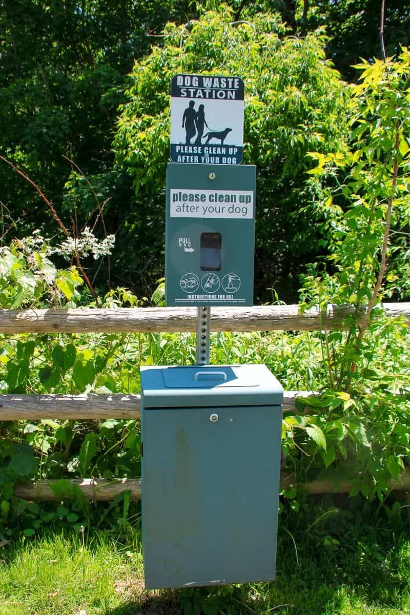 Dog waste station along a dog-friendly Newburyport MA walking trail