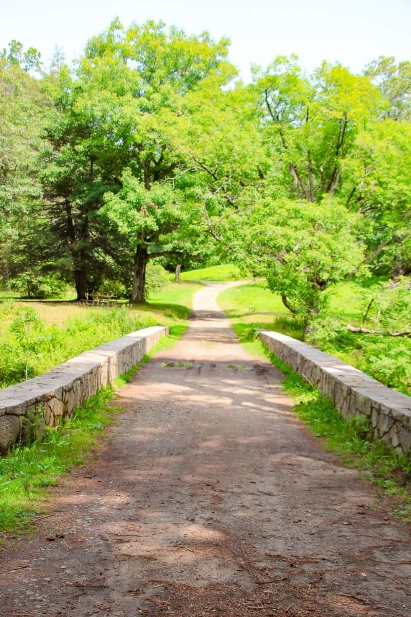 Stone footbridge along a quiet dirt path through the woods at Maudslay State Park
