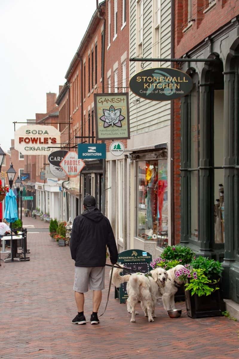 Man walking two golden retrievers past shops in dog-friendly Newburyport MA