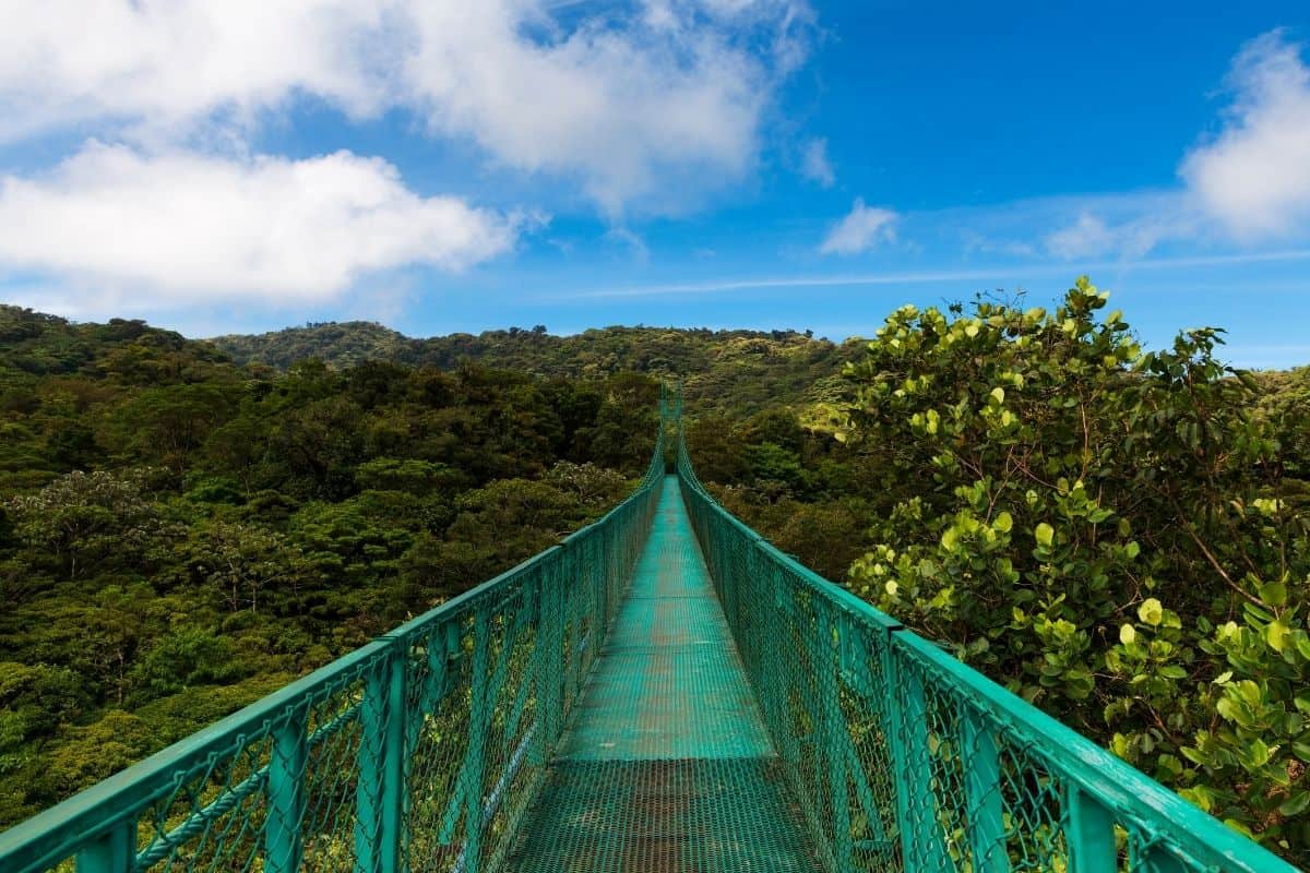 Turquoise hanging bridge over the cloud forest canopy, a top attraction near where to stay in Monteverde Costa Rica
