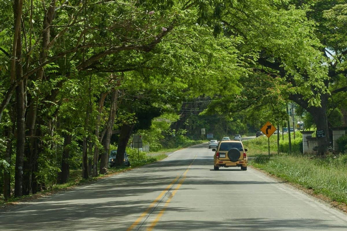 A yellow SUV driving down a tree-lined paved road, if you're wondering how to get around Costa Rica, rental cars are a popular choice