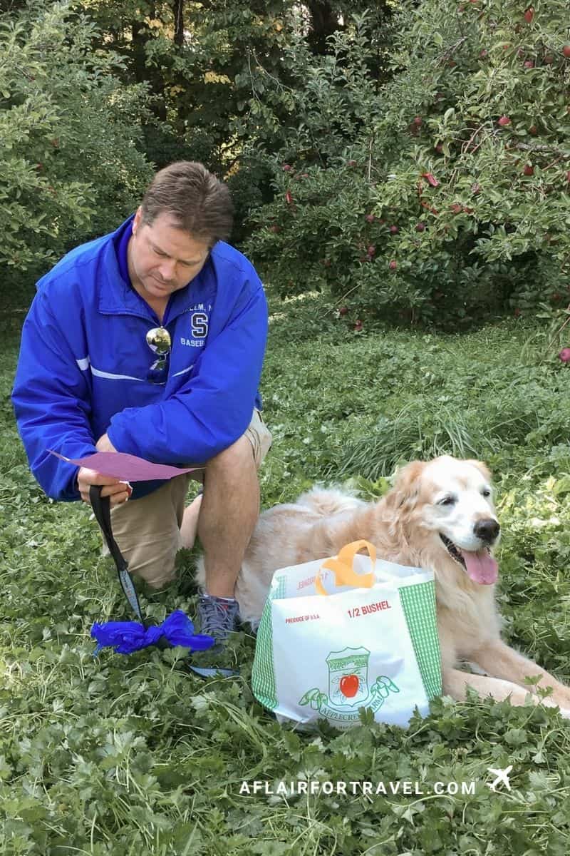 Man kneeling with his golden retriever beside a half-bushel bag of apples at Applecrest Farm