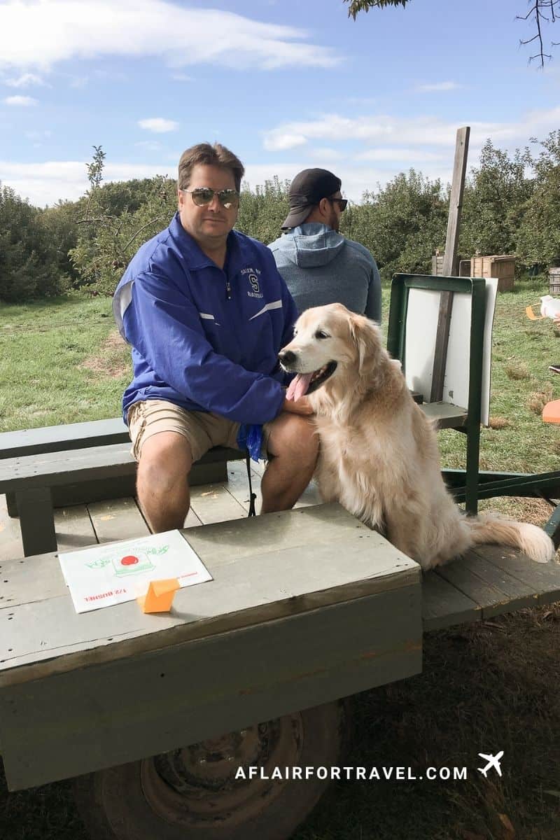 Golden retriever sitting with his owner on a hay wagon during apple picking at Applecrest Farm
