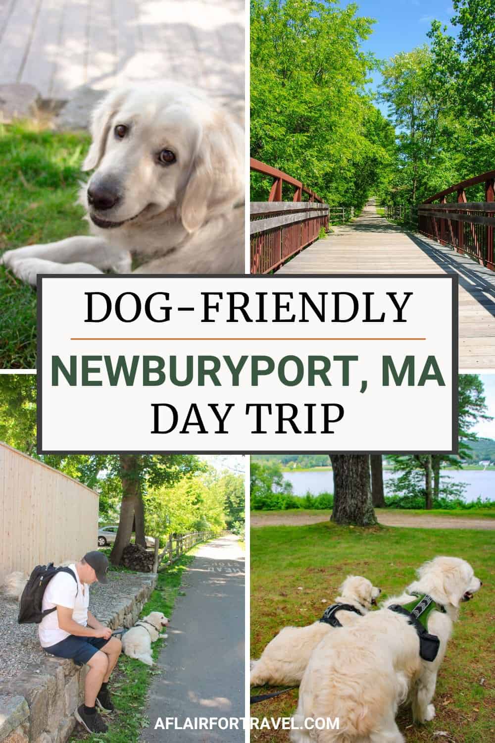 Dog-friendly Newburyport, MA day trip with golden retriever portrait, rail trail bridge, park bench stop, and Maudslay State Park lakeside walk