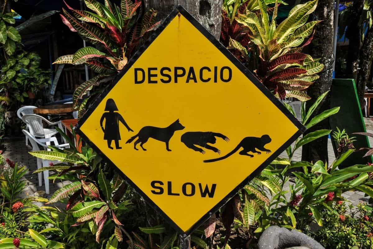 Yellow wildlife crossing sign warning drivers to slow down for local animals
