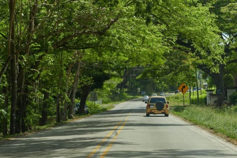 Driving in Costa Rica on a scenic two-lane road surrounded by lush greenery