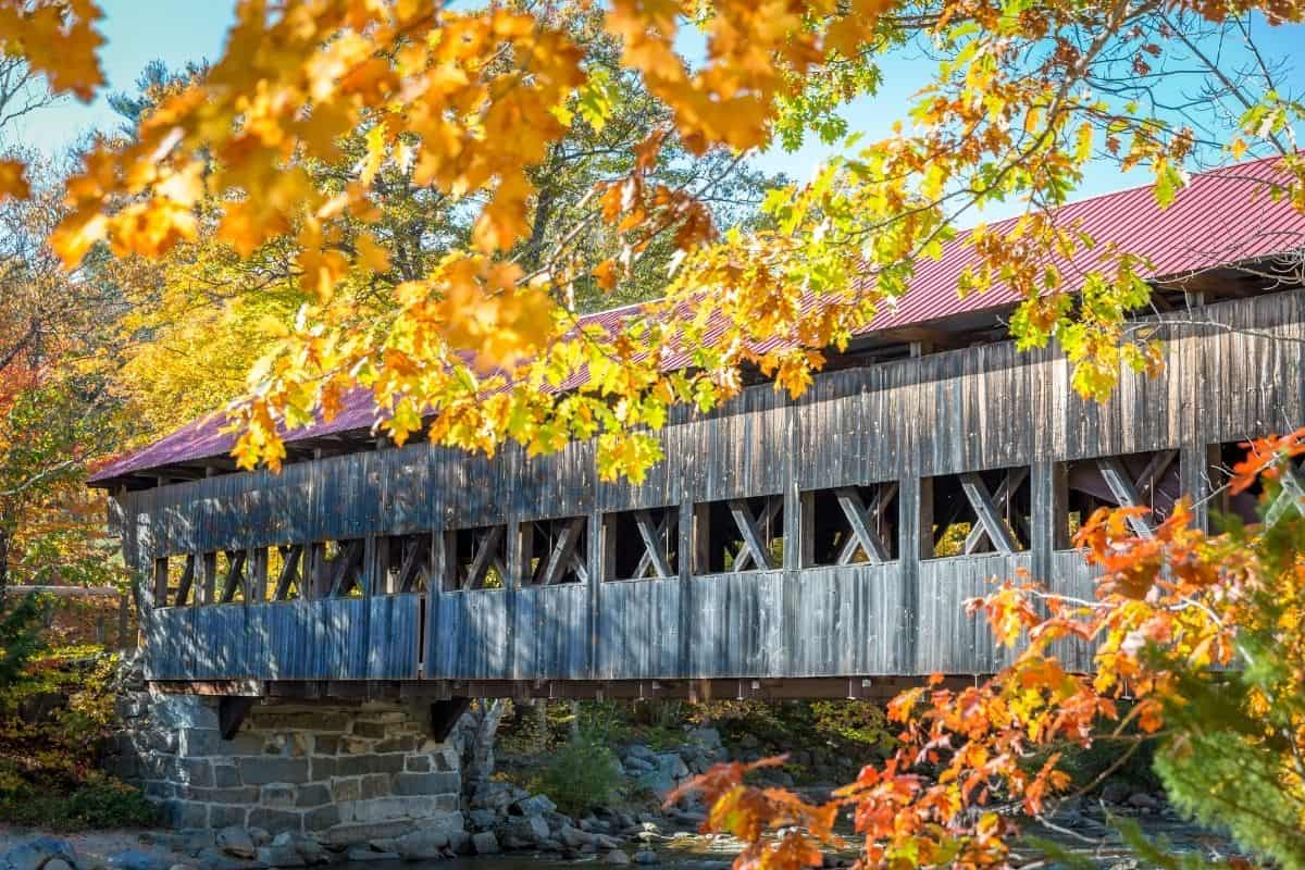 Albany Covered Bridge framed by golden fall leaves in the White Mountains in the fall