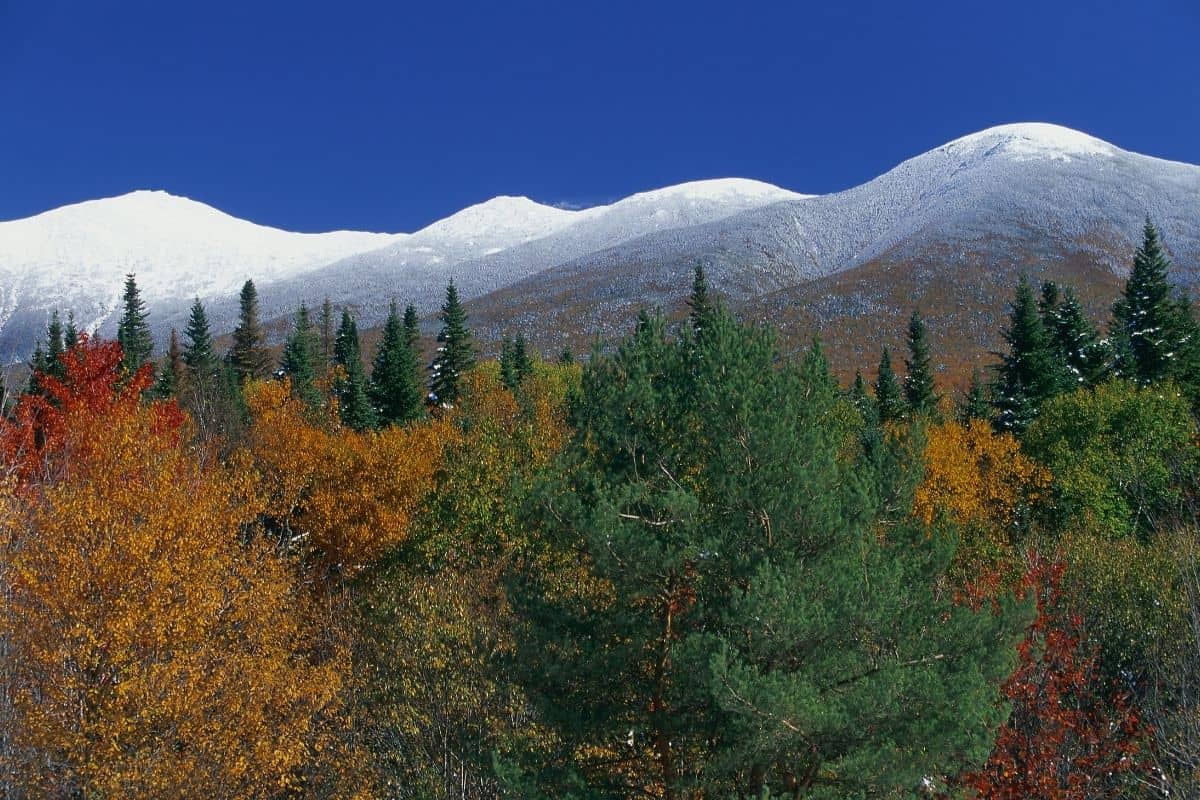 Snow-capped Presidential Range peaks above fall foliage, New Hampshire