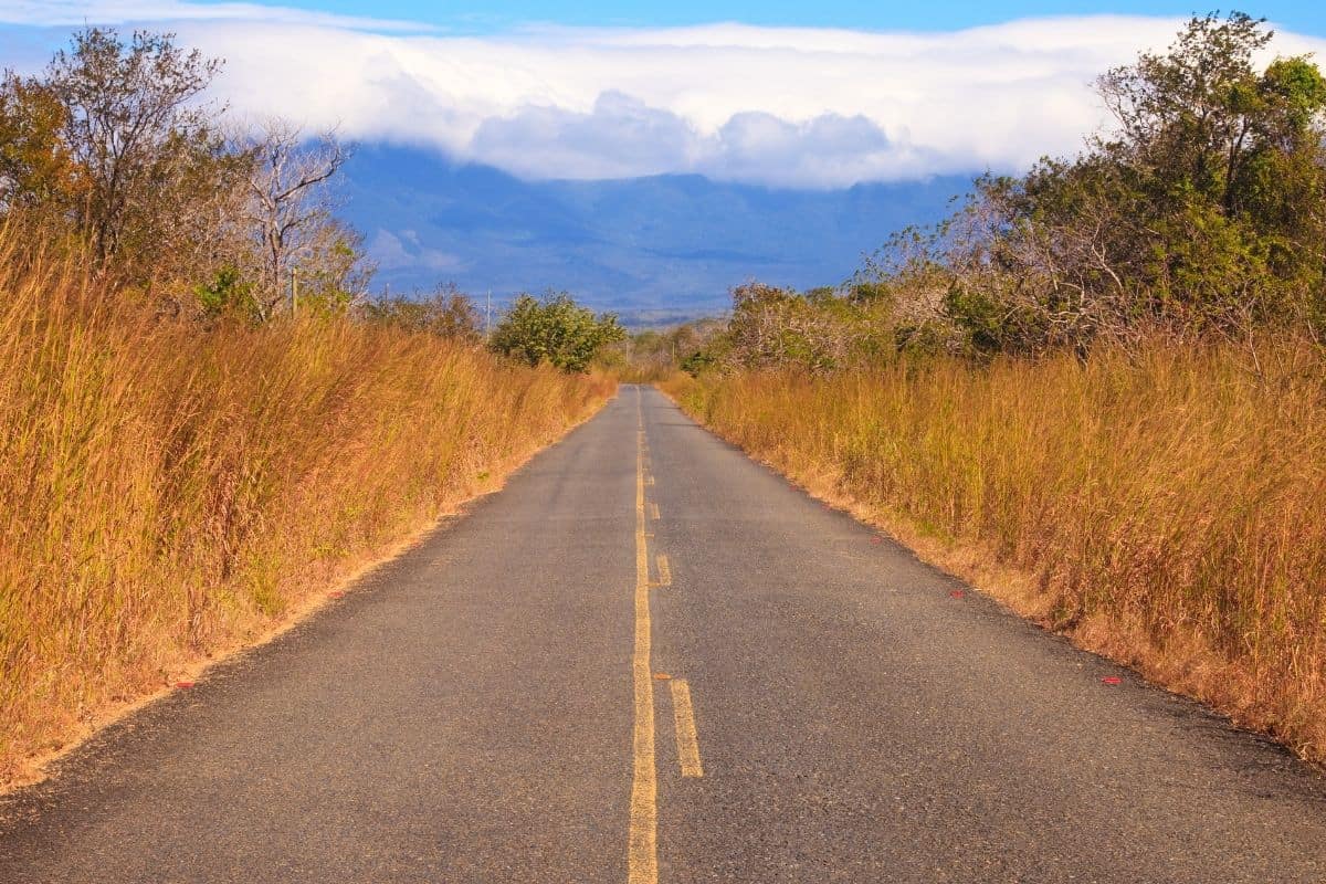 Straight paved road through golden grassland with mountains in the distance, a common backdrop for driving in Costa Rica