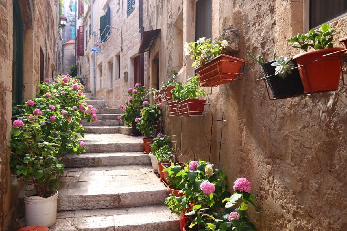 Flower-lined stone stairway in a quiet Korčula Old Town alley
