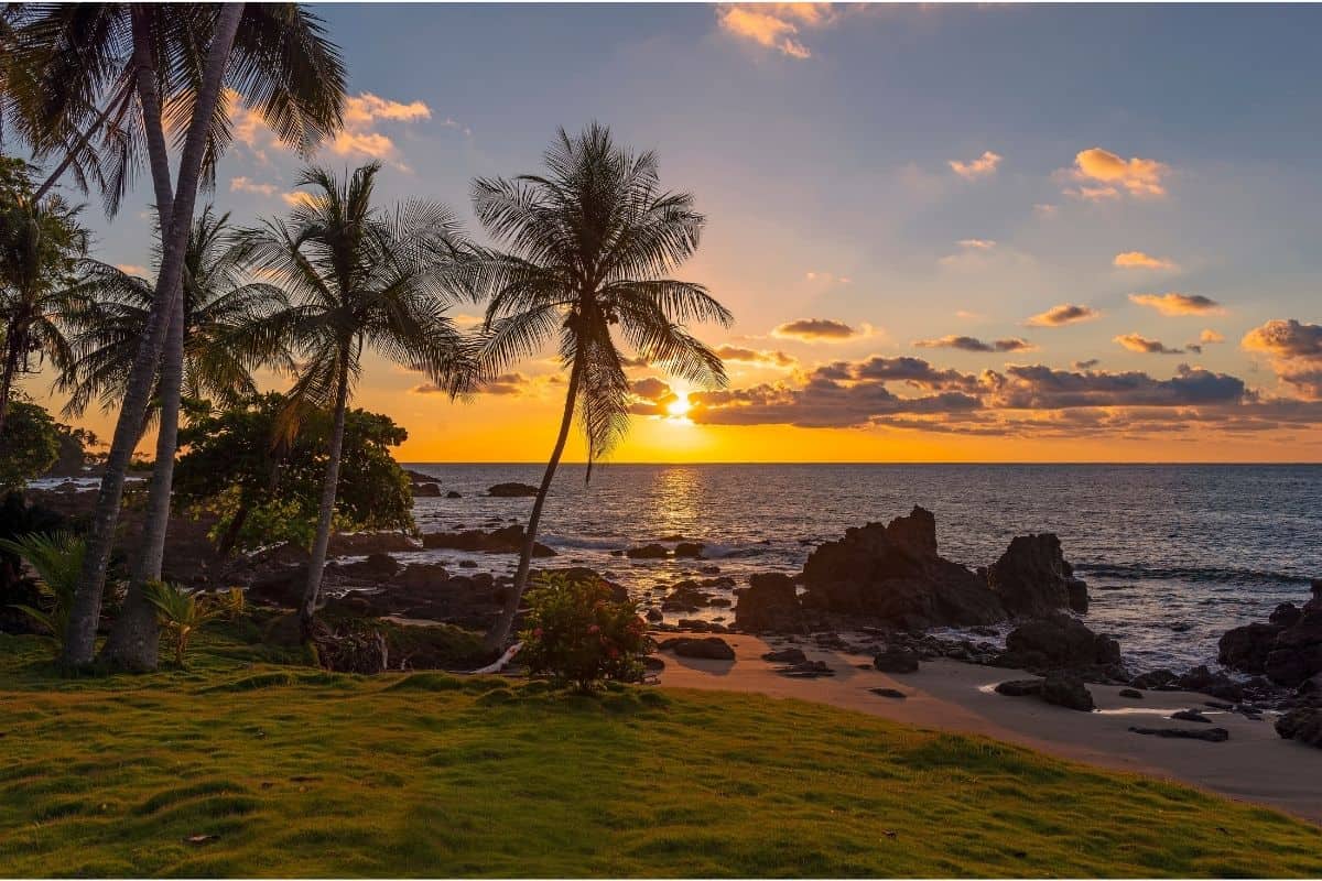 Sunset over the ocean framed by palm trees on a Costa Rica beach