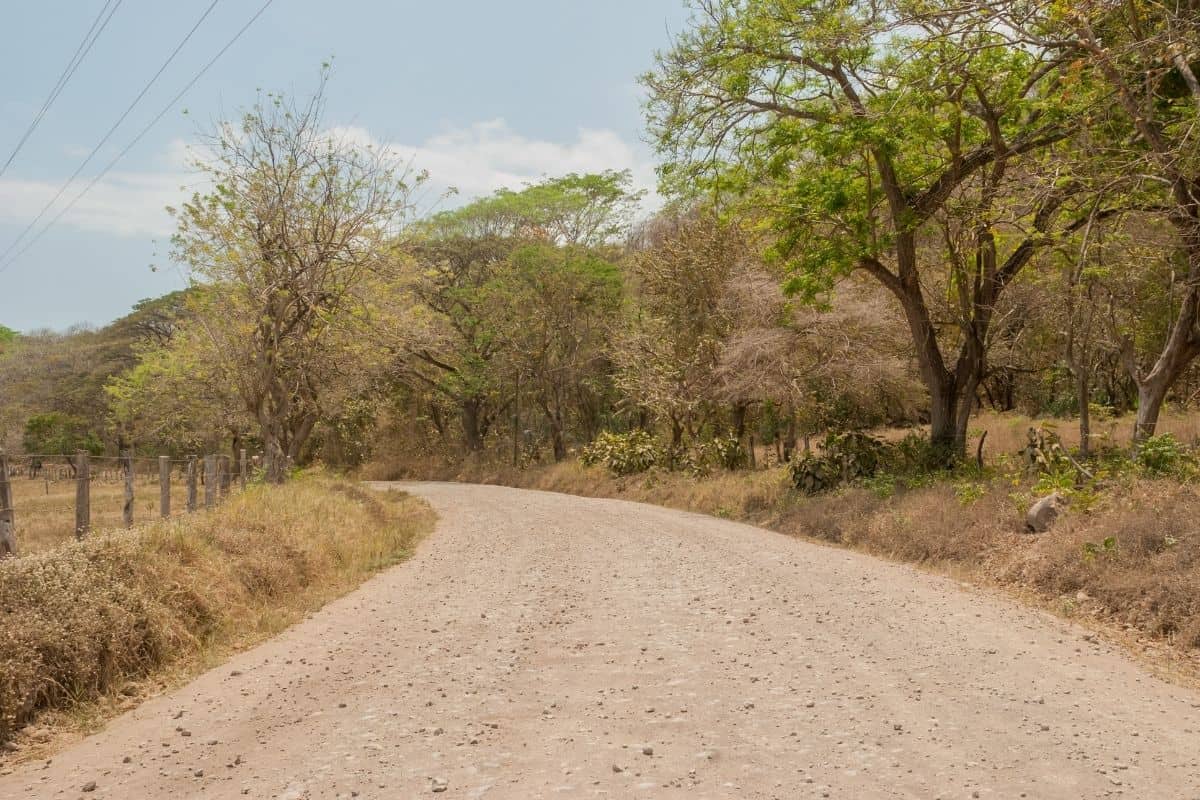 Dirt road winding through dry tropical forest in Guanacaste, Costa Rica