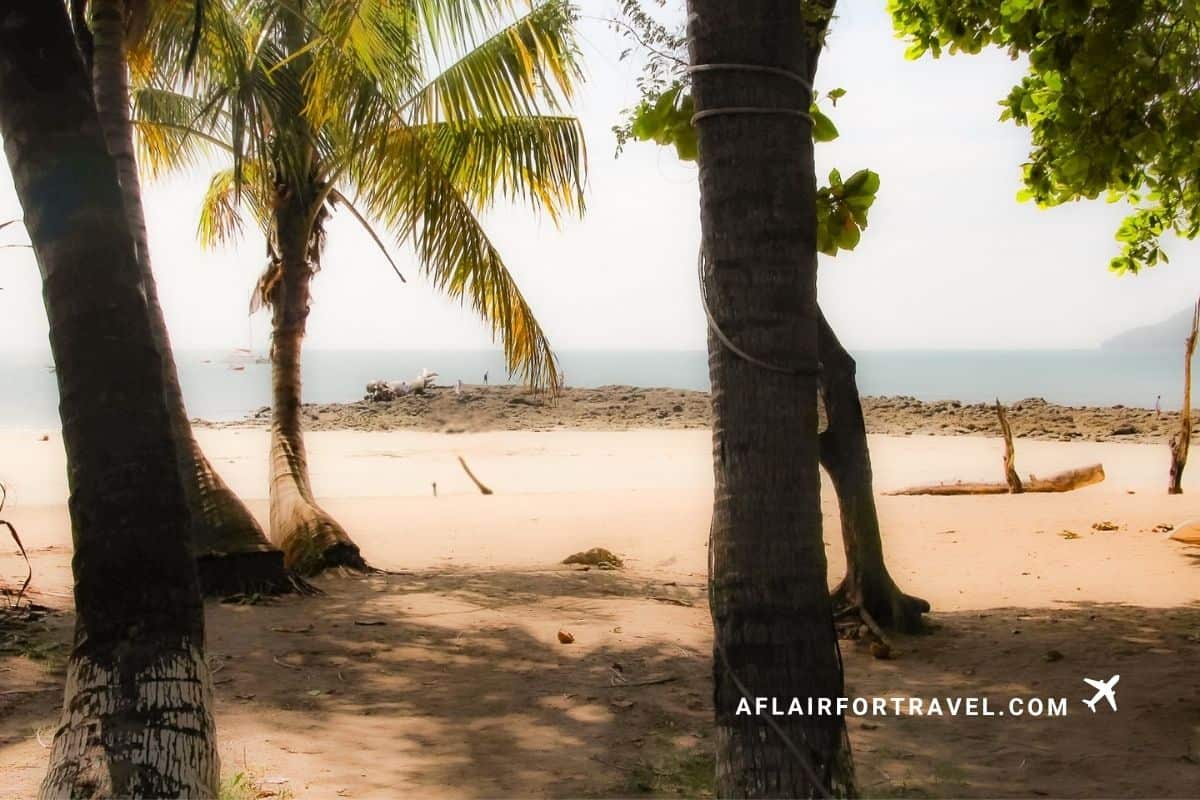 Palm trees framing a quiet beach near a Guanacaste, Costa Rica all-inclusive resort