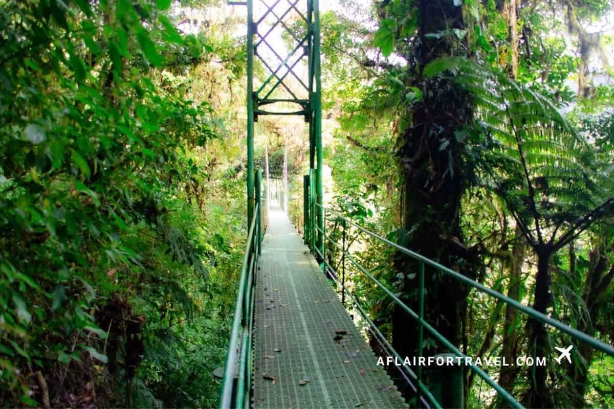 Suspended hanging bridge crossing through the cloud forest canopy in Monteverde, Costa Rica