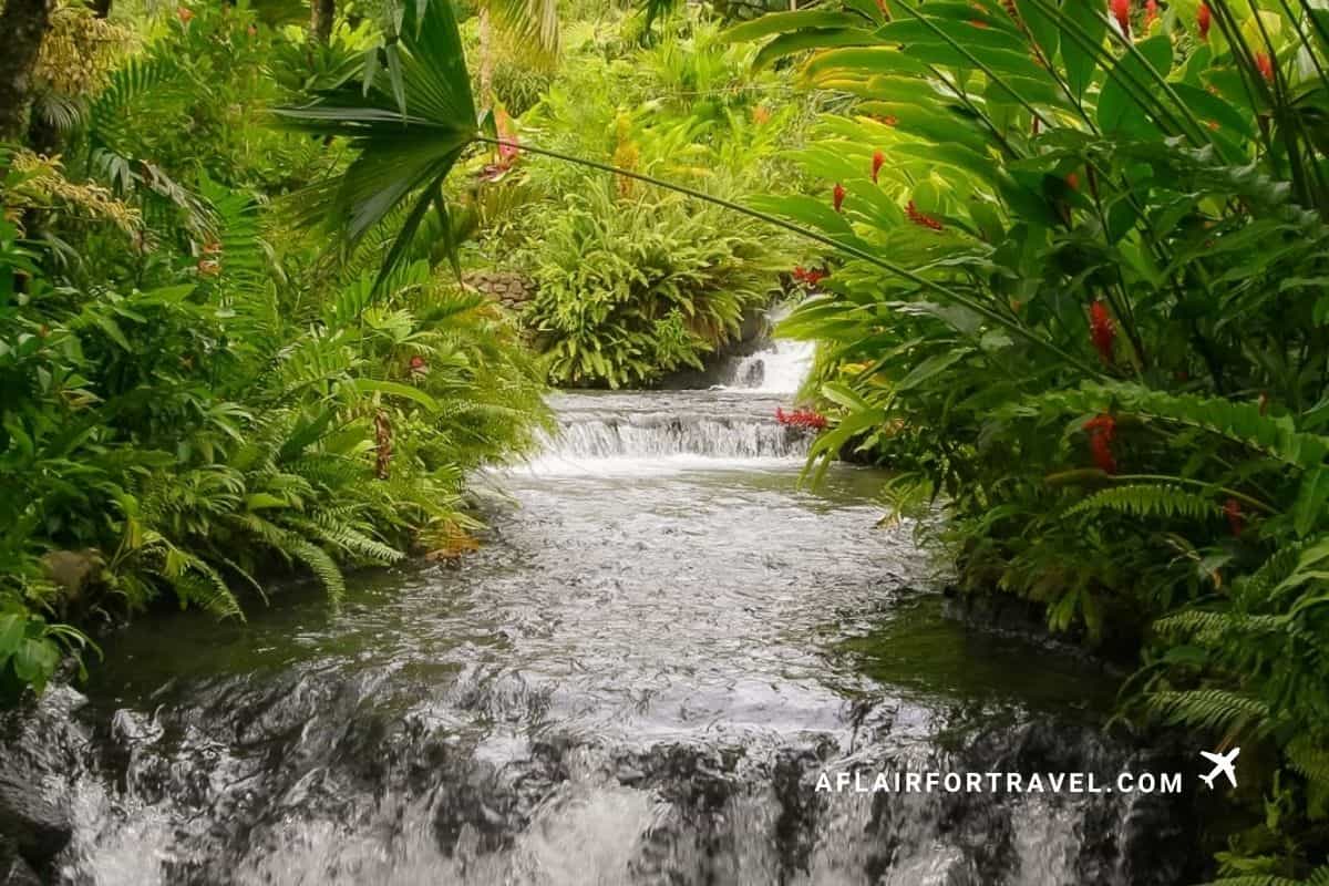 Small waterfall running through the tropical gardens of an Arenal hot springs resort