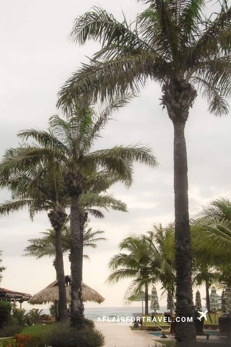 Palm trees framing the beach and pool area at a Costa Rica resort