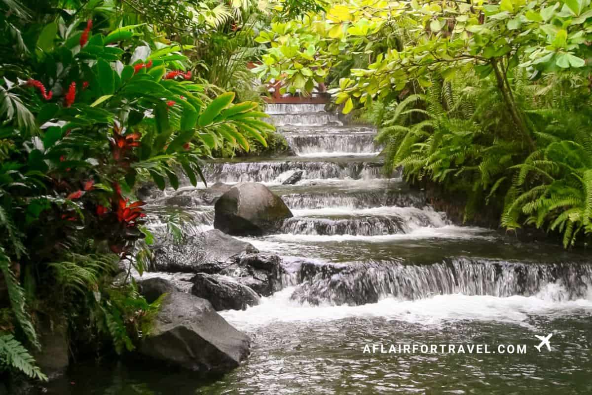 Small stepped waterfalls flowing through ferns and tropical plants in La Fortuna
