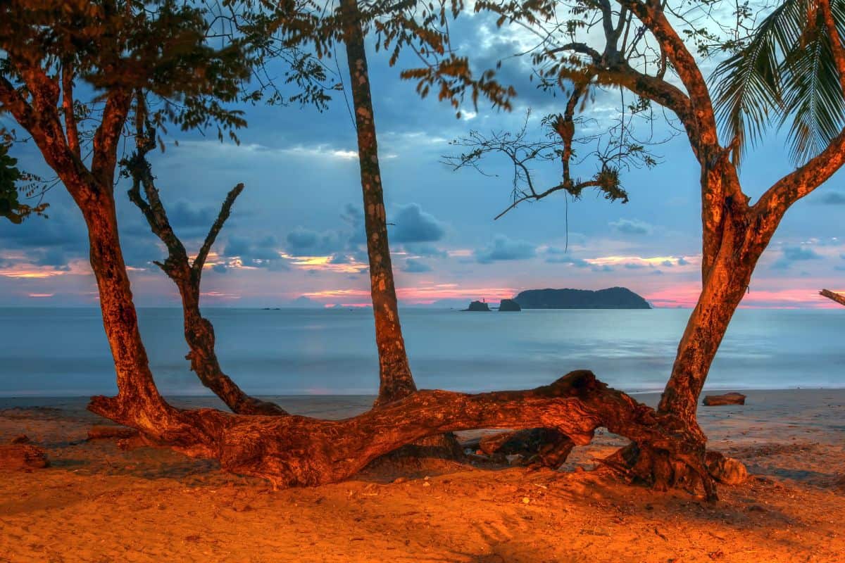 Orange and pink sunset behind twisted beach trees and offshore islands near Manuel Antonio