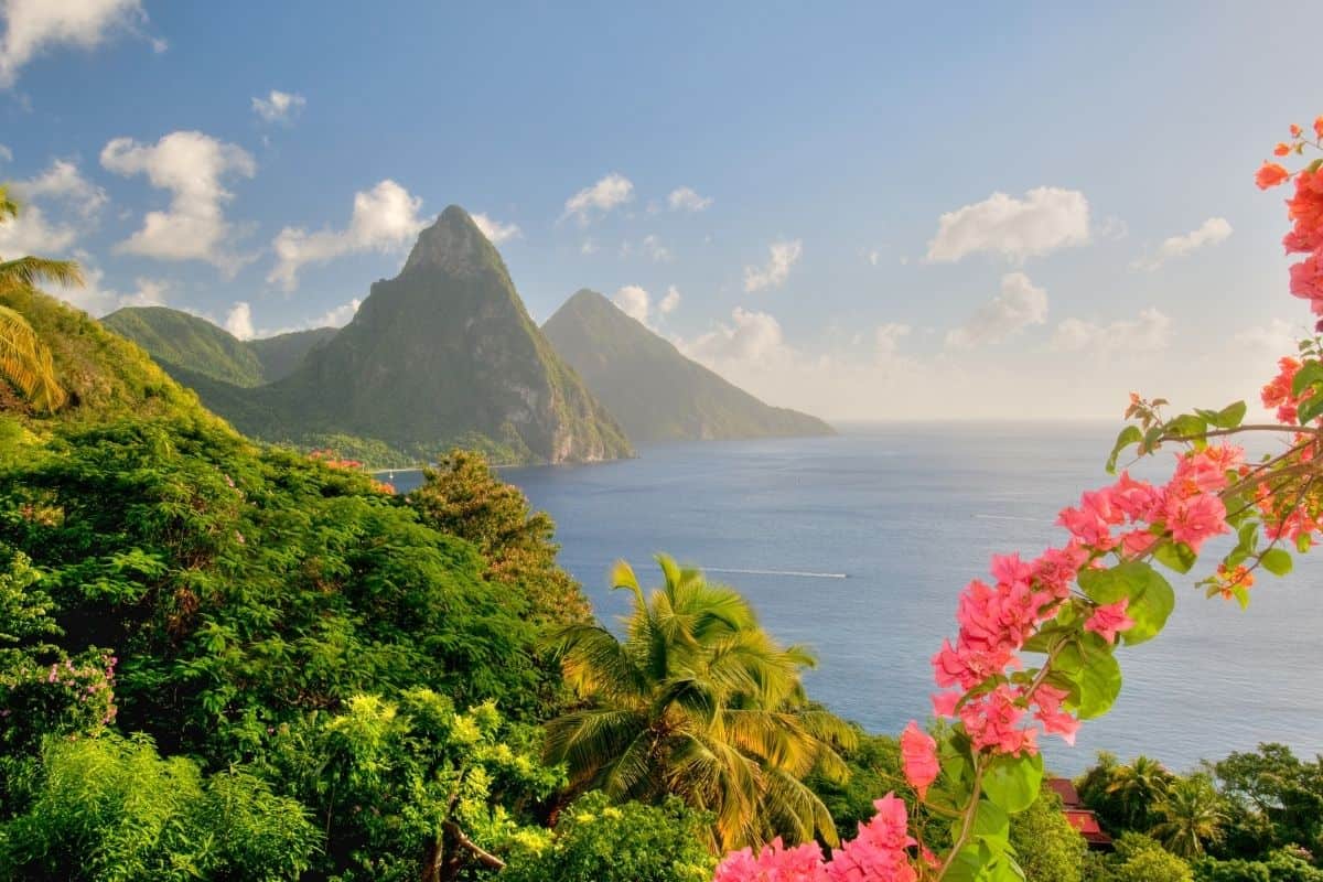 Gros Piton and Petit Piton rising from the sea, framed by tropical flowers