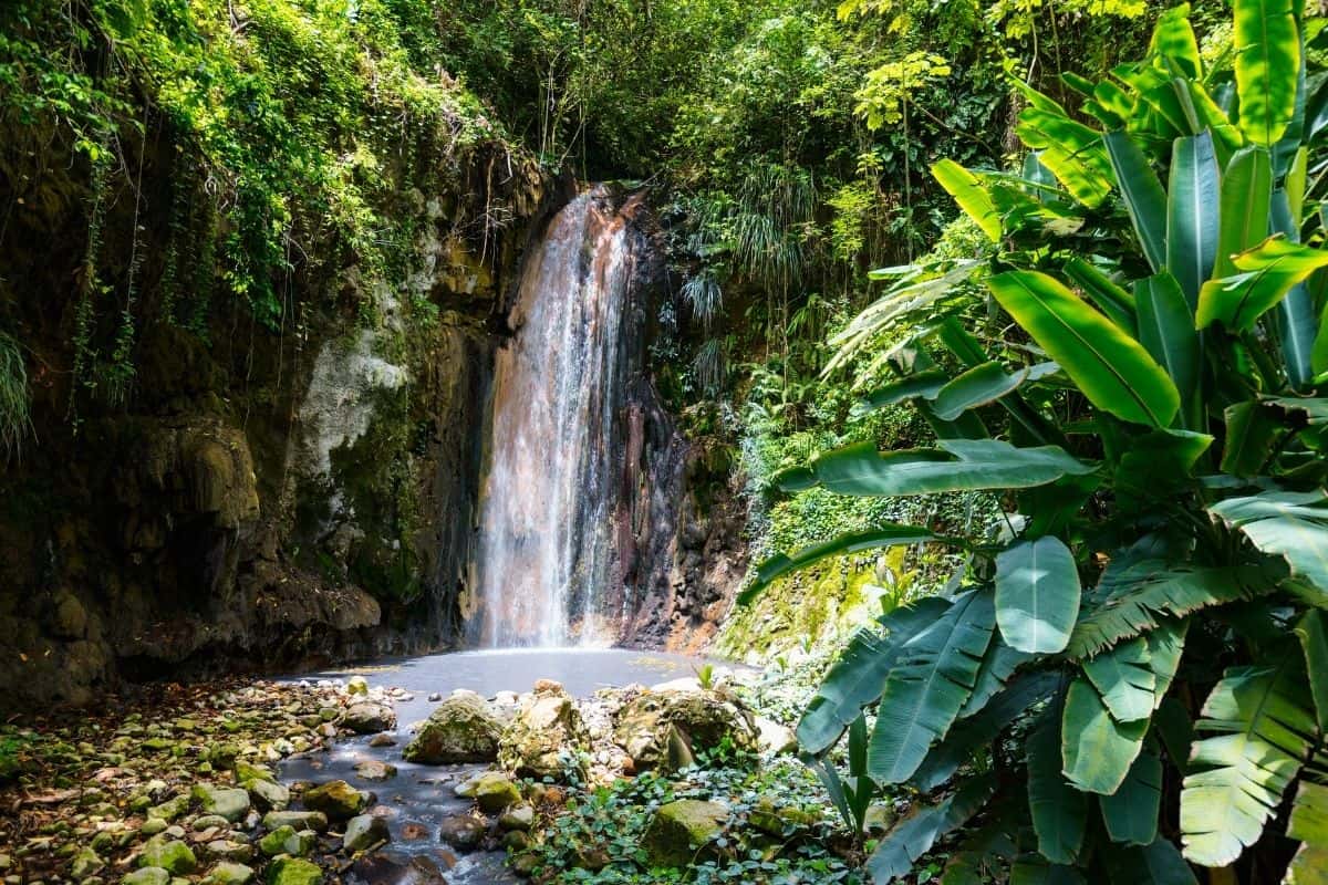 Diamond Falls cascading through the rainforest